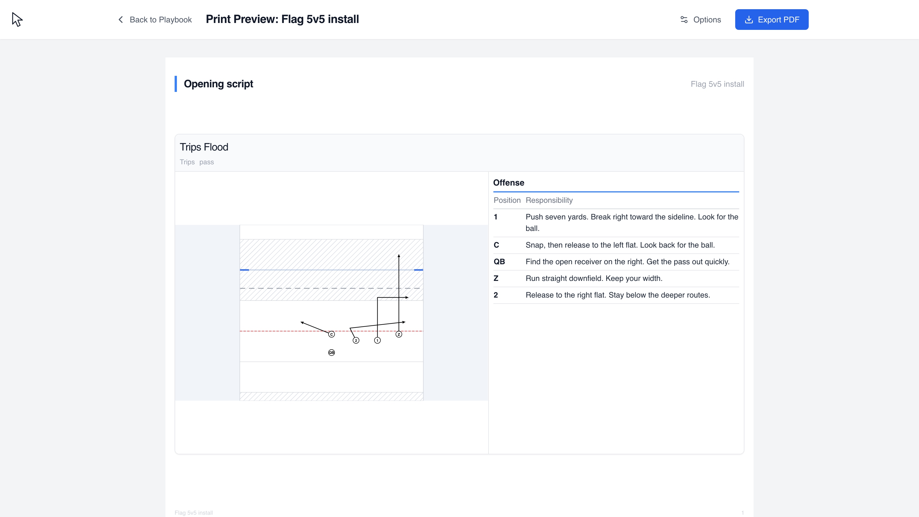 Flag 5v5: Select a receiver, write their assignment and export the diagram with all position responsibilities.
